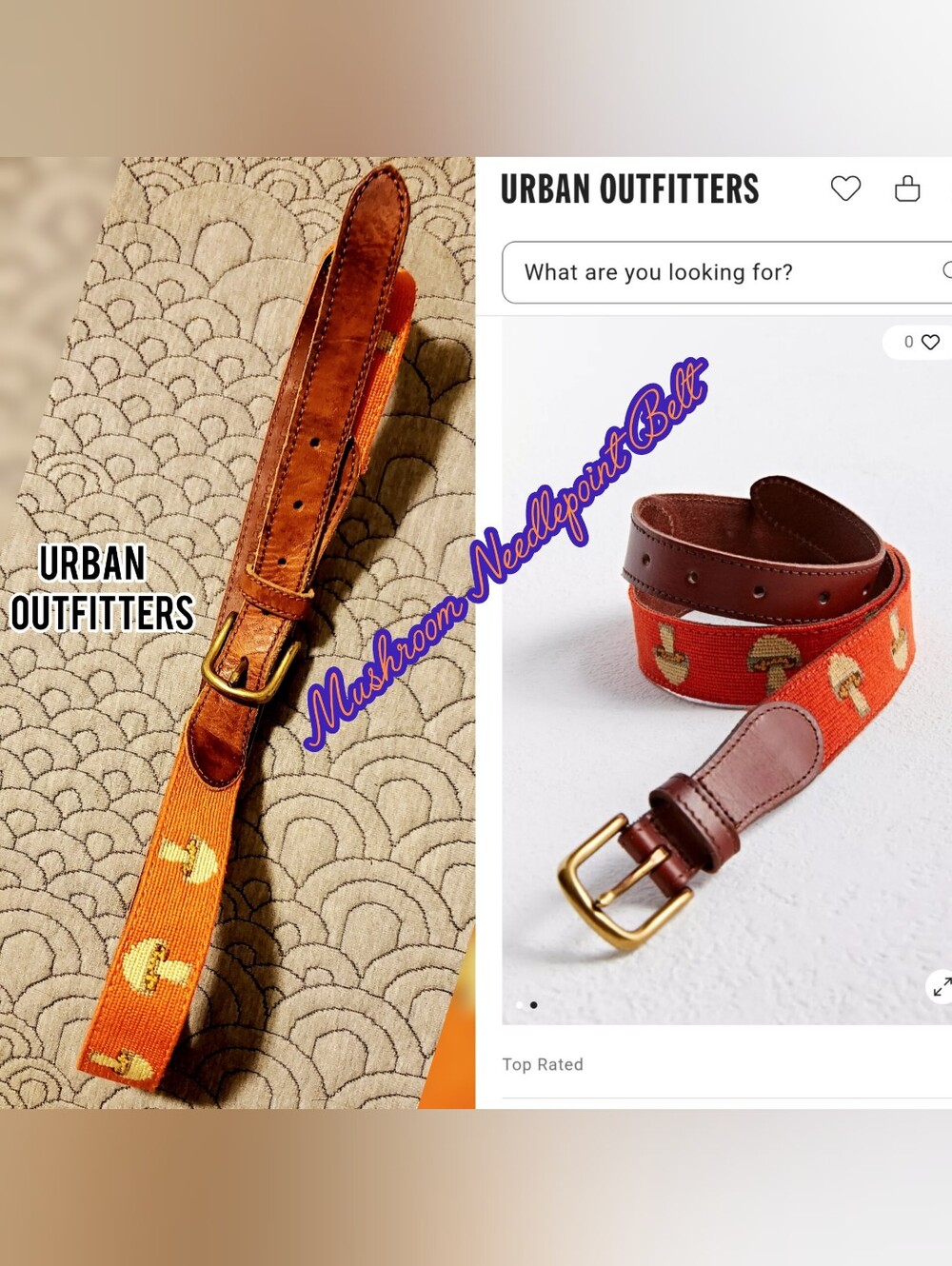 Urban Outfitters Men's Leather Cotton Mushroom Trippy Belt Orange Needlepoint